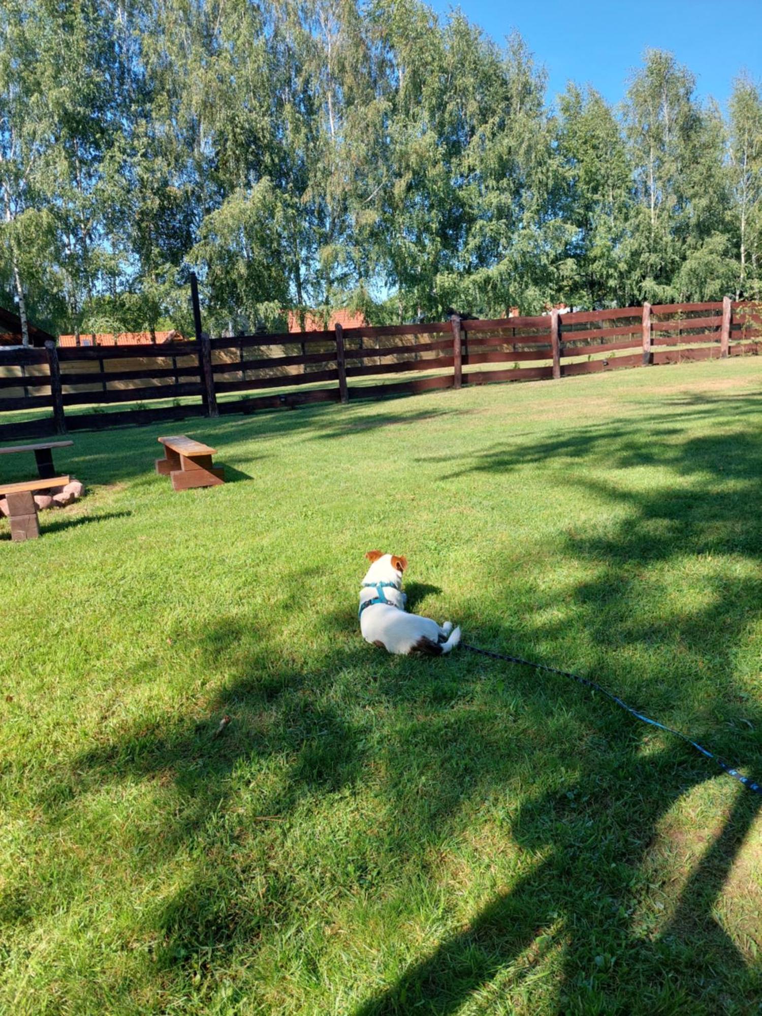 Domek Nad Krutynia Piecki  Dış mekan fotoğraf